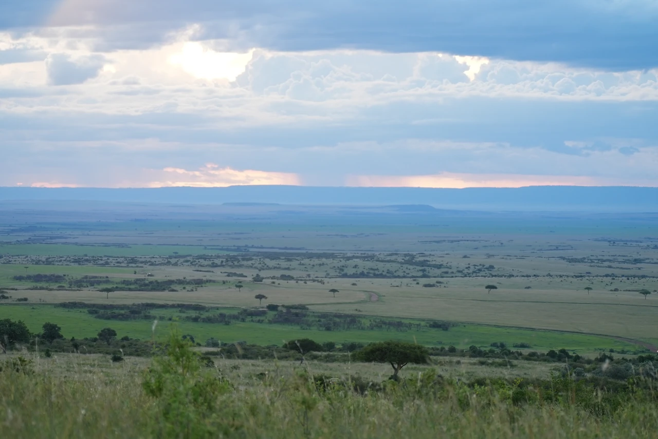 An open grassland panorama with scattered trees beneath an evening sky.