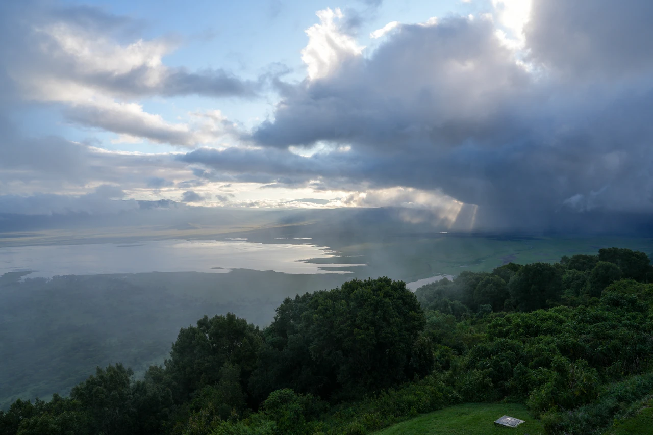 A wooded hillside overlooks distant water beneath heavy clouds.