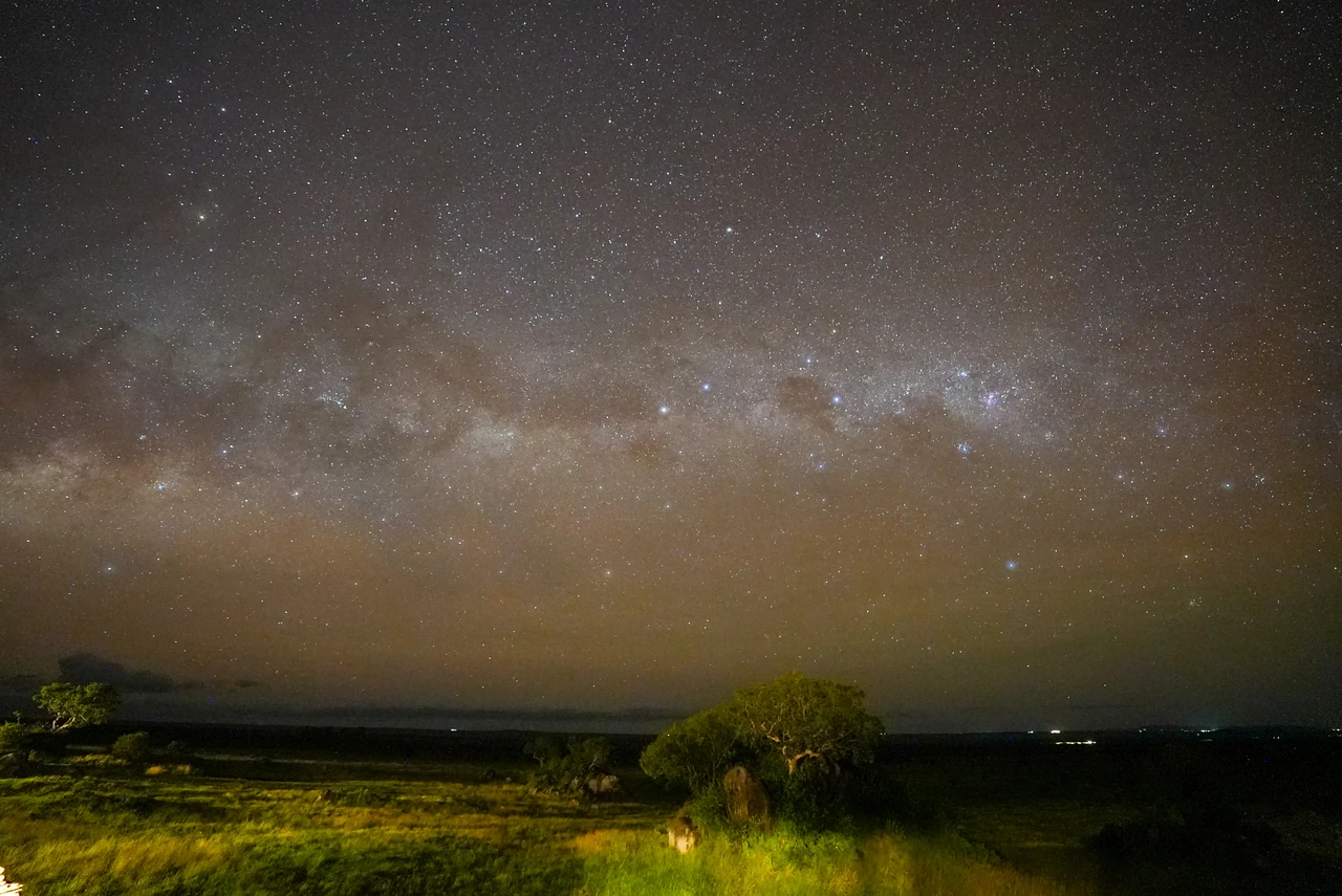 Stars and a bright band of light span the night sky above the grassland.