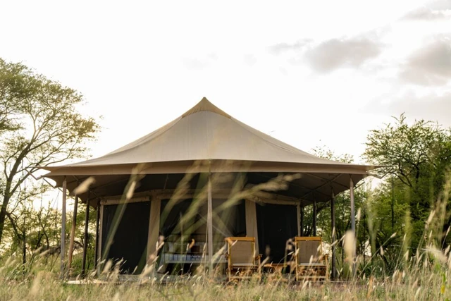 Intimate Camp Zebra · 外观与环境