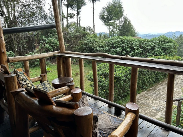 Gorilla Mist Camp · 露台与景观