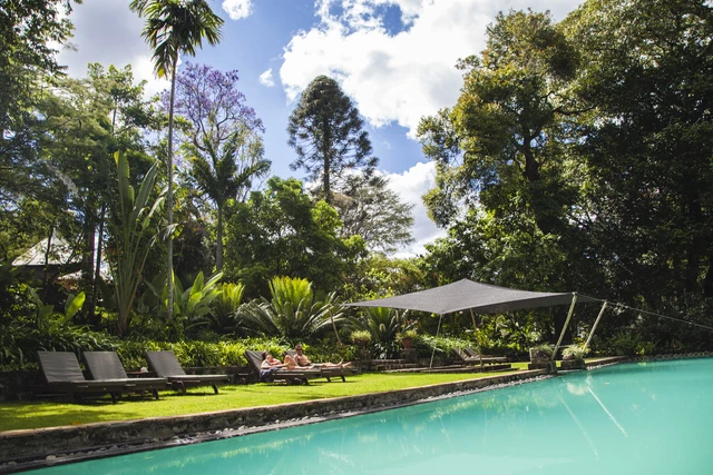 Ngare Sero Mountain Lodge · 泳池