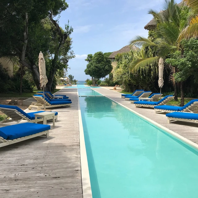 Medina Palms Watamu · 泳池