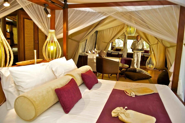 Mara Intrepids Camp · 客房