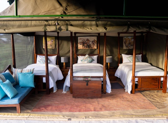 Ang'ata Migration - Ndutu Camp · 客房