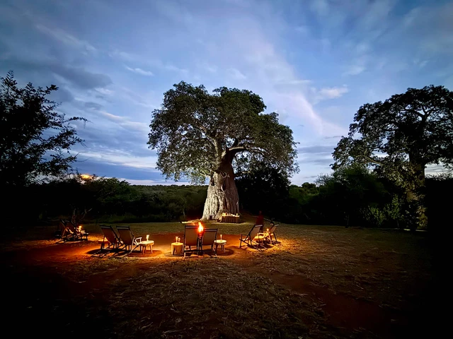 The Whisper Tarangire Camp · 露台与景观