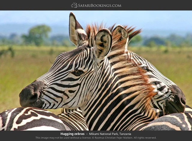 SafariBookings 路线参考影像