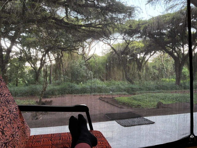 Ngorongoro Tortilis Camp · 露台与景观