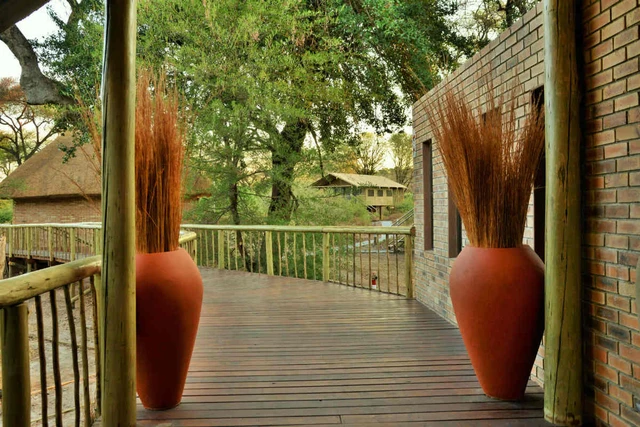 Jackalberry Chobe Camp · 露台与景观