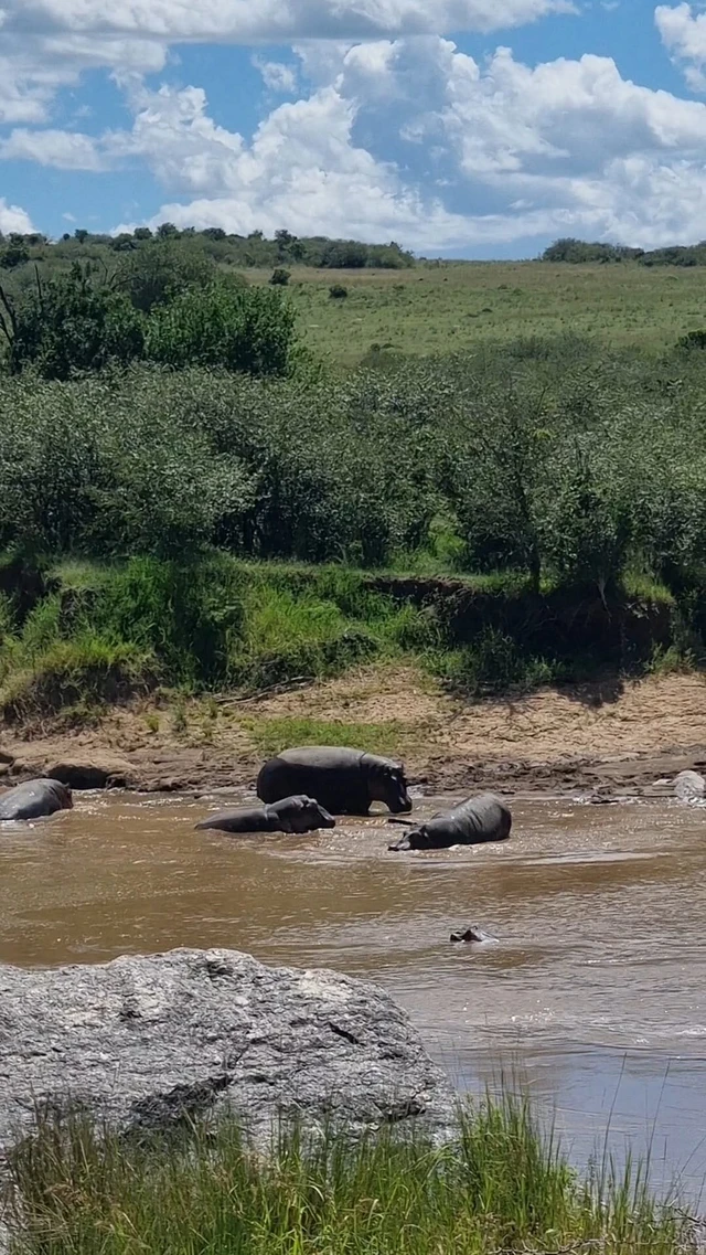 Mara Ngenche Safari Camp · 周边景观