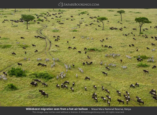 SafariBookings 路线参考影像