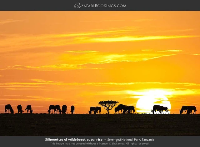 SafariBookings 路线参考影像