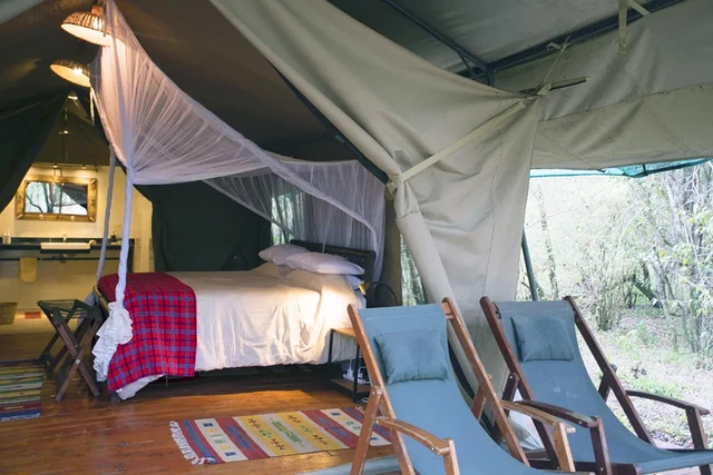 kaboso safari camp · 客房