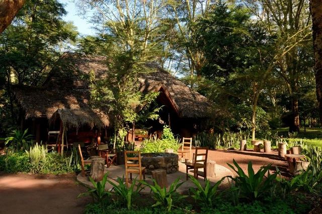 Migunga Tented Camp · 住宿环境