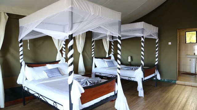 Ngorongoro Wild Camp · 客房