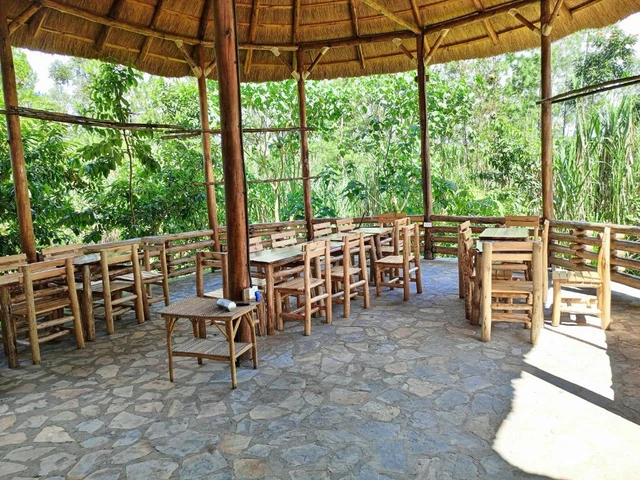 Chimpanzee Capital Safari Lodge · 餐厅与用餐环境