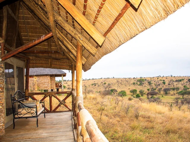 Serengeti Safari Lodge · 露台与景观