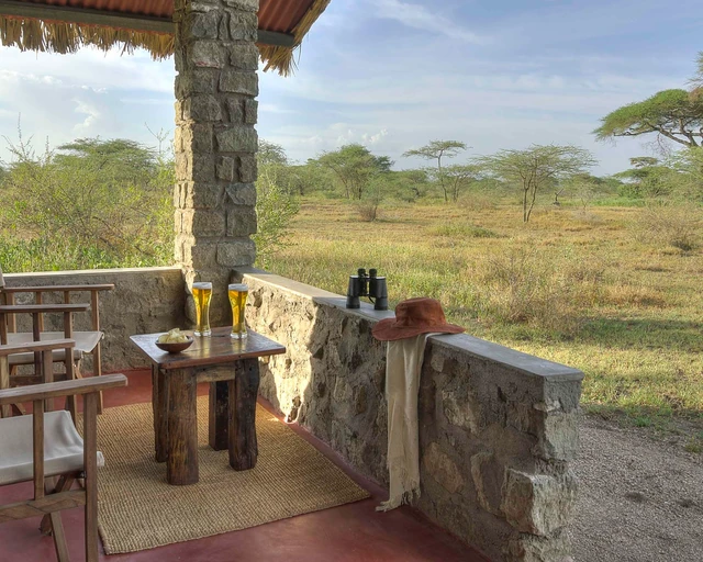 Ndutu Safari Lodge · 露台与景观