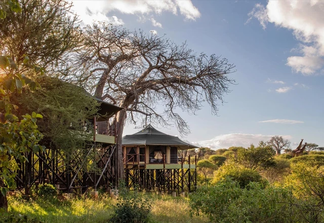 Tarangire Kuro Treetops Lodge · 外观与环境