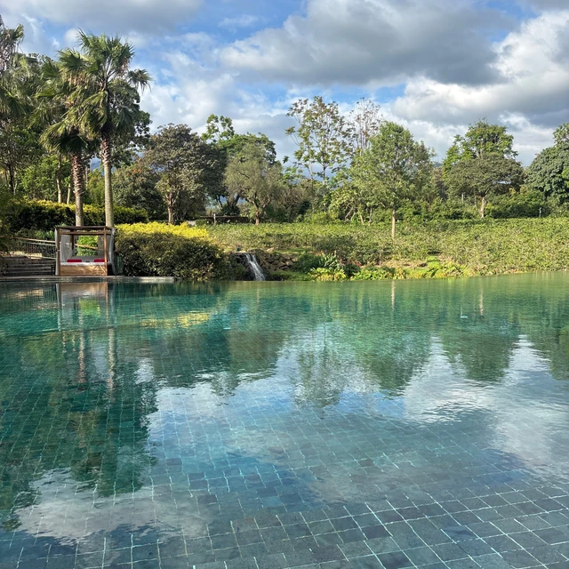 Gran Meliá Arusha · 泳池