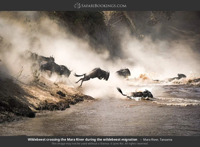 SafariBookings 路线参考影像