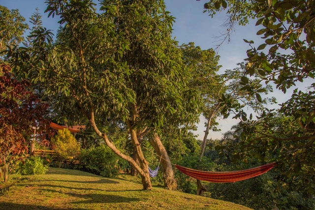 ViaVia Entebbe Guesthouse · 外观与环境