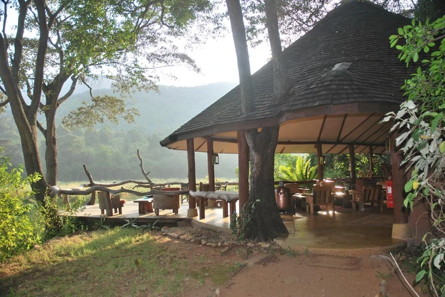 Kitich Forest Camp · 外观与环境