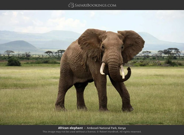SafariBookings 路线参考影像