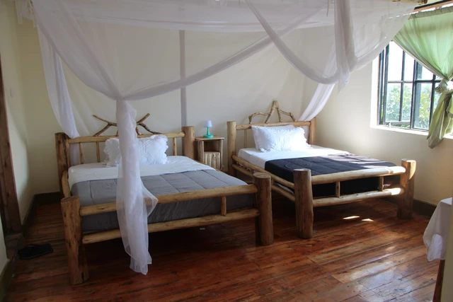 Gorilla Bluff Lodge · 客房