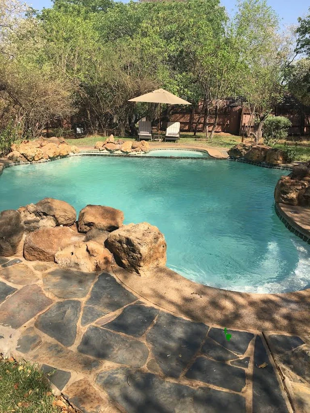 Chobe Chilwero Lodge · 泳池