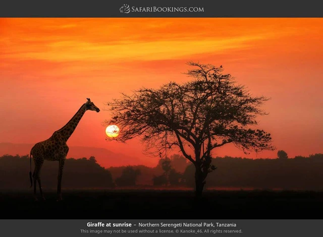 SafariBookings 路线参考影像