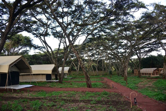 Ngorongoro Tortilis Camp · 外观与环境