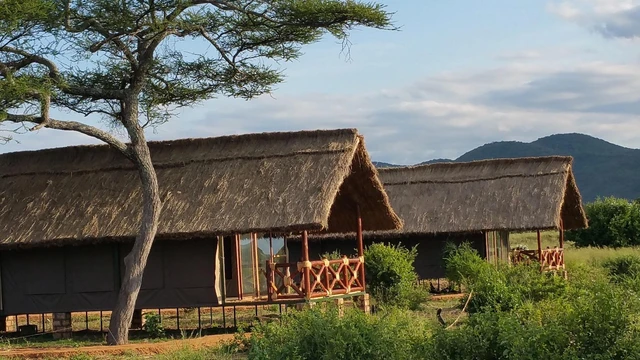 Tarangire Simba Lodge · 外观与环境