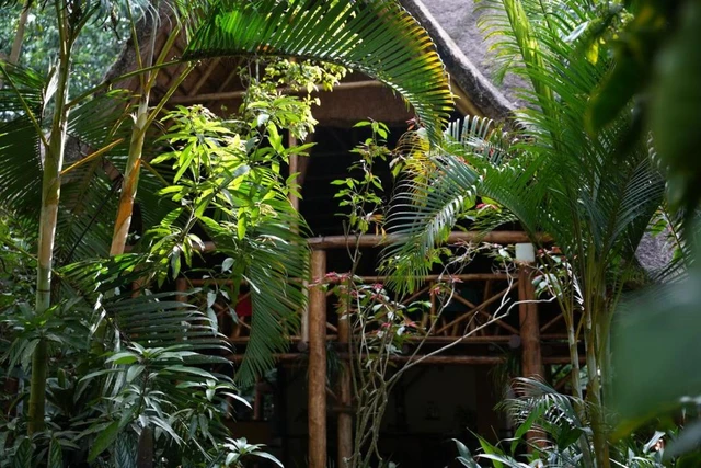 Kibale Forest Camp · 外观与环境