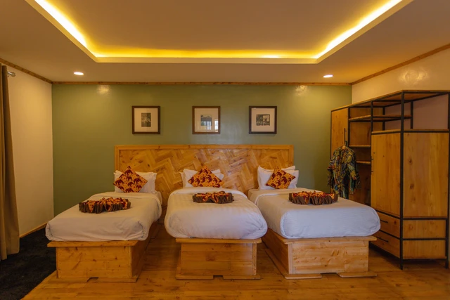 Da Vinci Gorilla Lodge · 客房