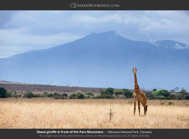 SafariBookings 路线参考影像