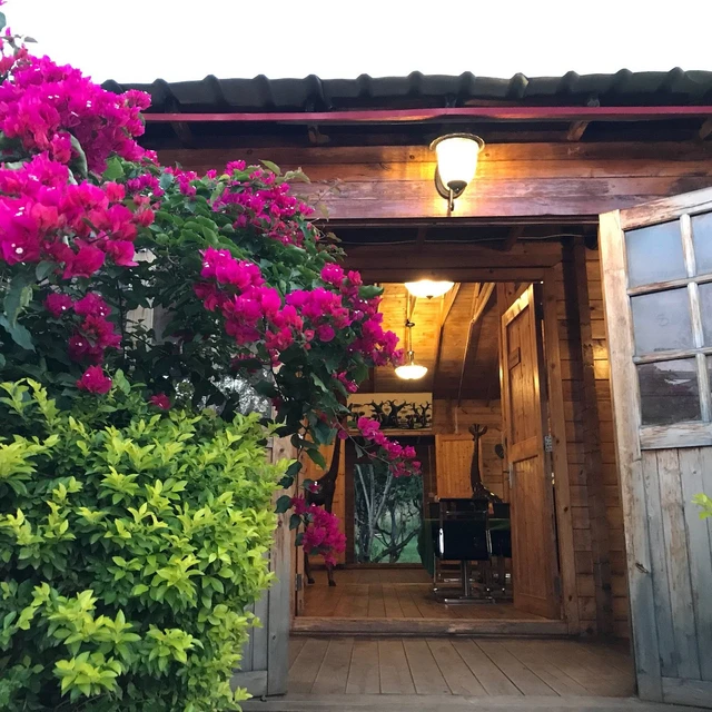 Jambo Mara Safari Lodge · 外观与环境