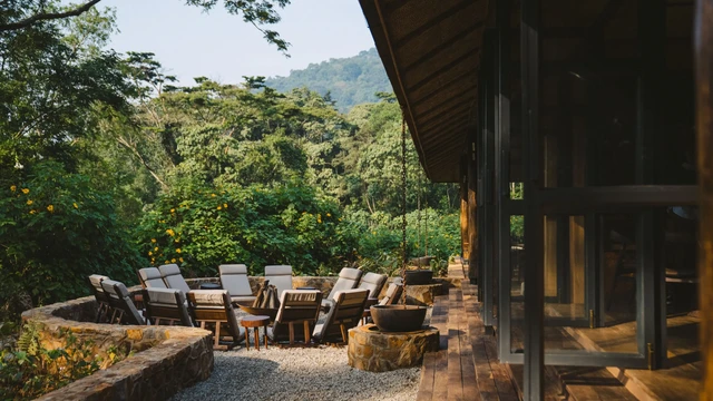 Sanctuary Gorilla Forest Camp · 露台与景观