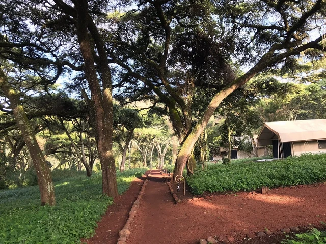 Ngorongoro Tortilis Camp · 住宿环境