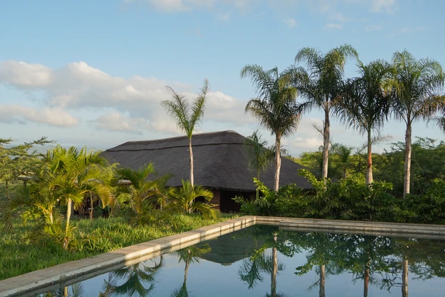 Suricata Boma Lodge · 泳池