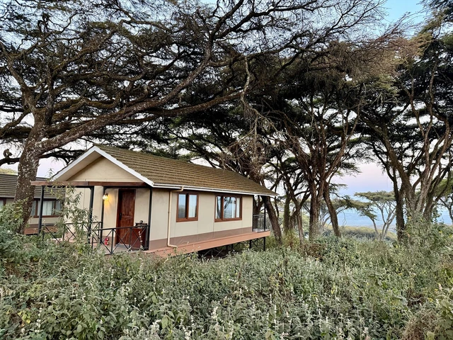 Ngorongoro Lion's Paw Camp · 外观与环境
