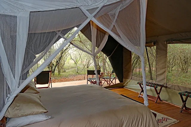 kaboso safari camp · 露台与景观