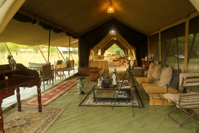 Intimate Camp Zebra · 休息区
