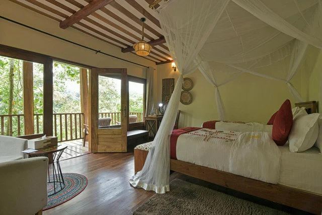 Four Gorillas Lodge · 客房