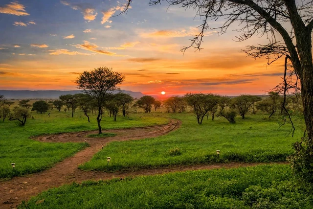 Out in Africa Camp · 外观与环境
