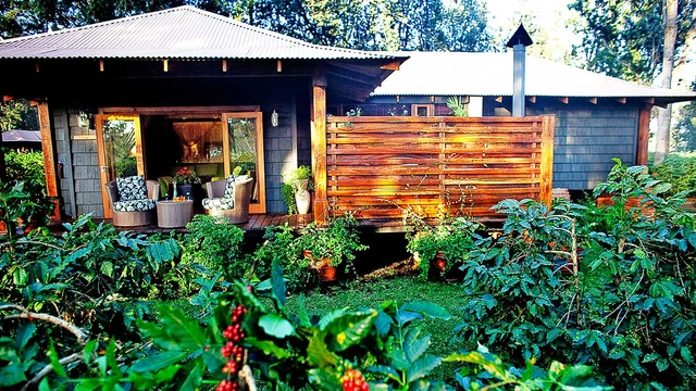 Arusha Coffee Lodge · 外观与环境