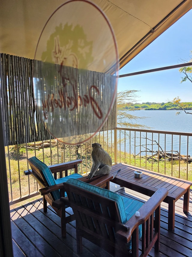 Jackalberry Chobe Camp · 露台与景观