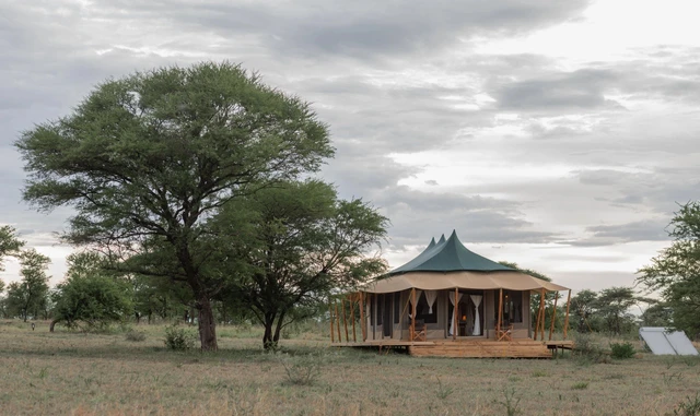 Signature Serengeti Luxury Tented Safari Camp · 外观与环境