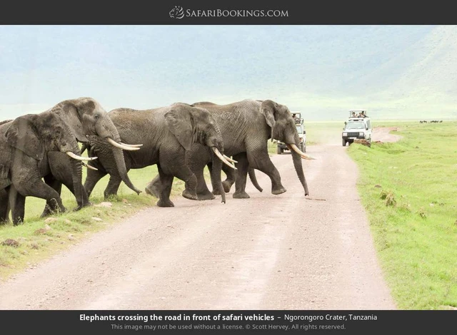 SafariBookings 路线参考影像