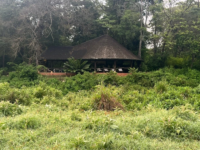 Kitich Forest Camp · 外观与环境